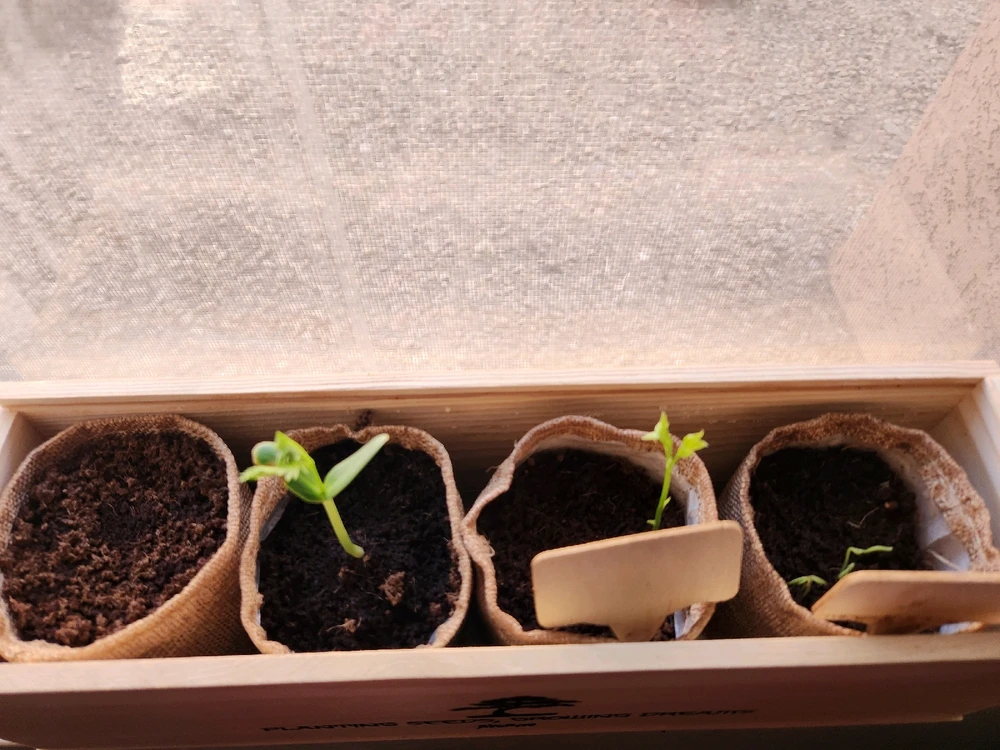 Image uploaded by Cj