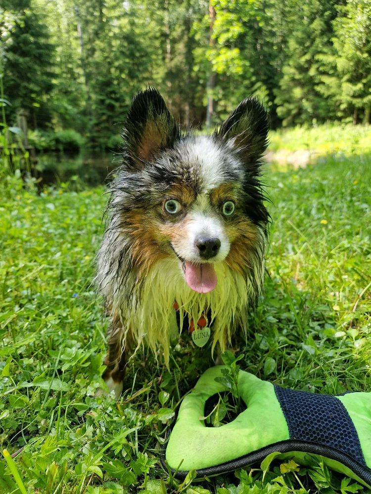 GIF diunggah dening Aurora