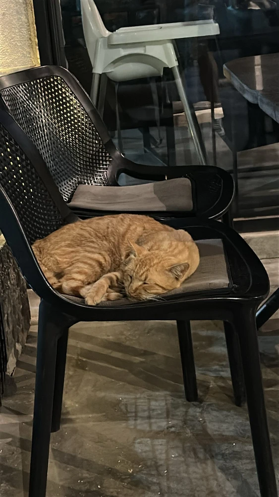 Image uploaded by aseel