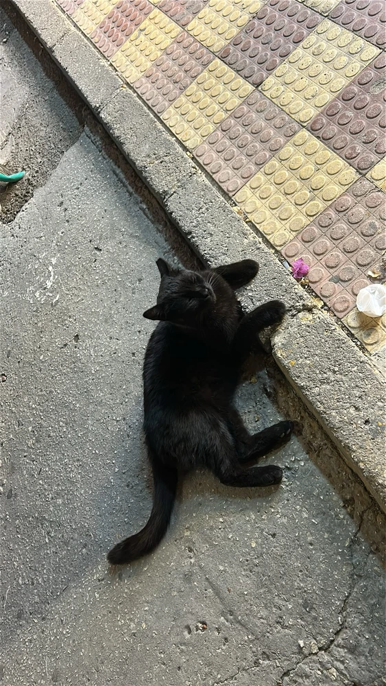 Image uploaded by aseel