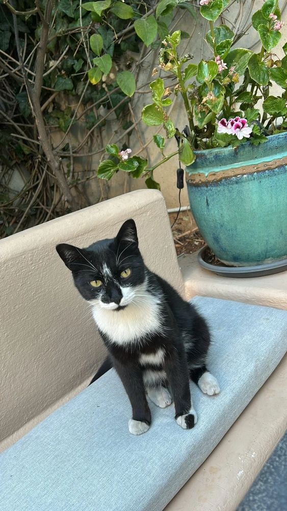 Image uploaded by aseel