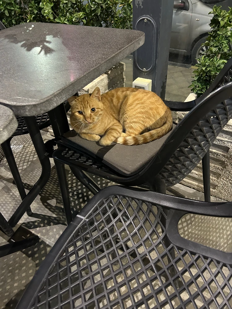 Image uploaded by aseel