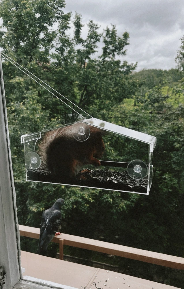 GIF uploaded by Lyubov