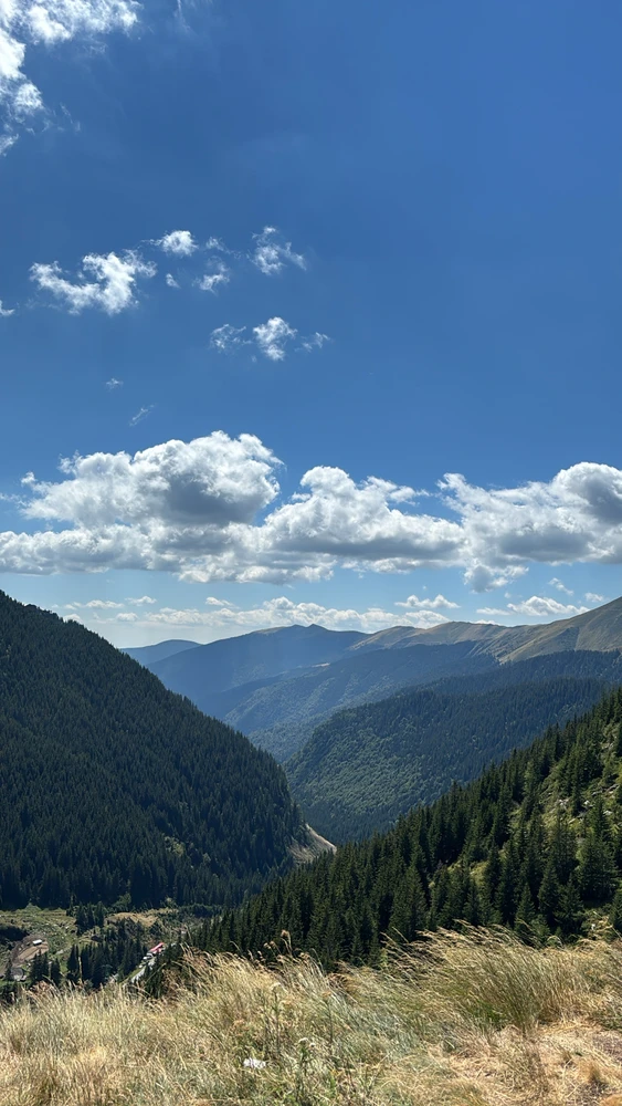 GIF caricata da Emiliano