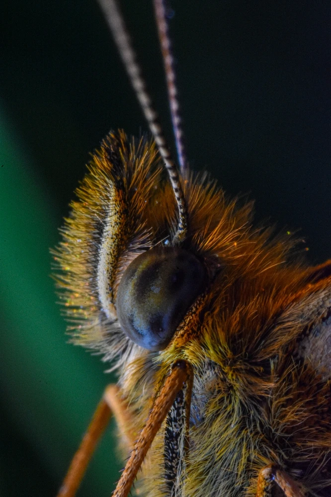 Фото загрузил Николай