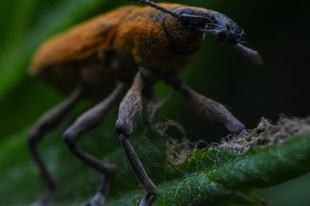 Фото загрузил Николай