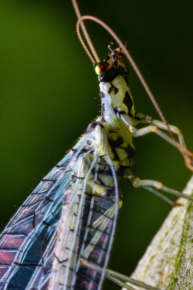 Фото загрузил Николай