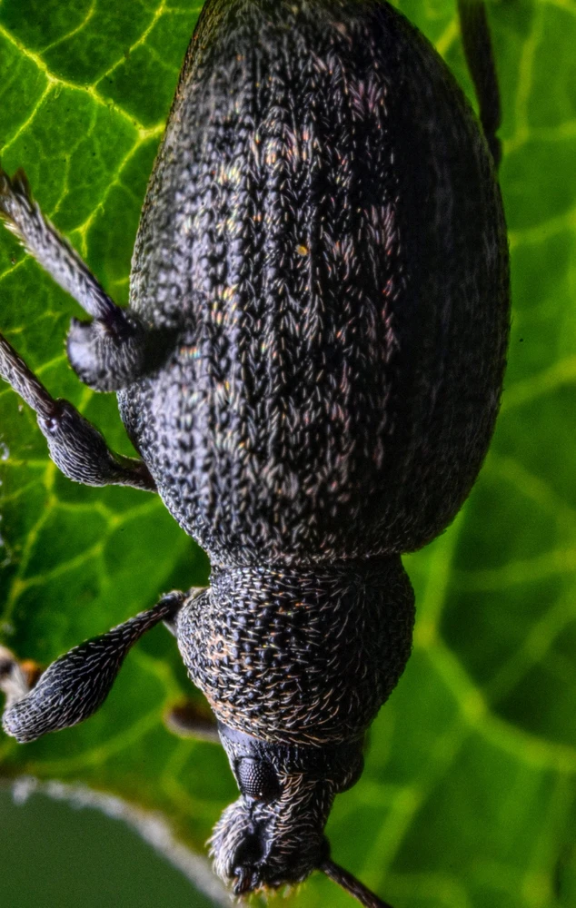 Фото загрузил Николай