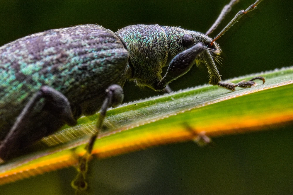 Фото загрузил Николай