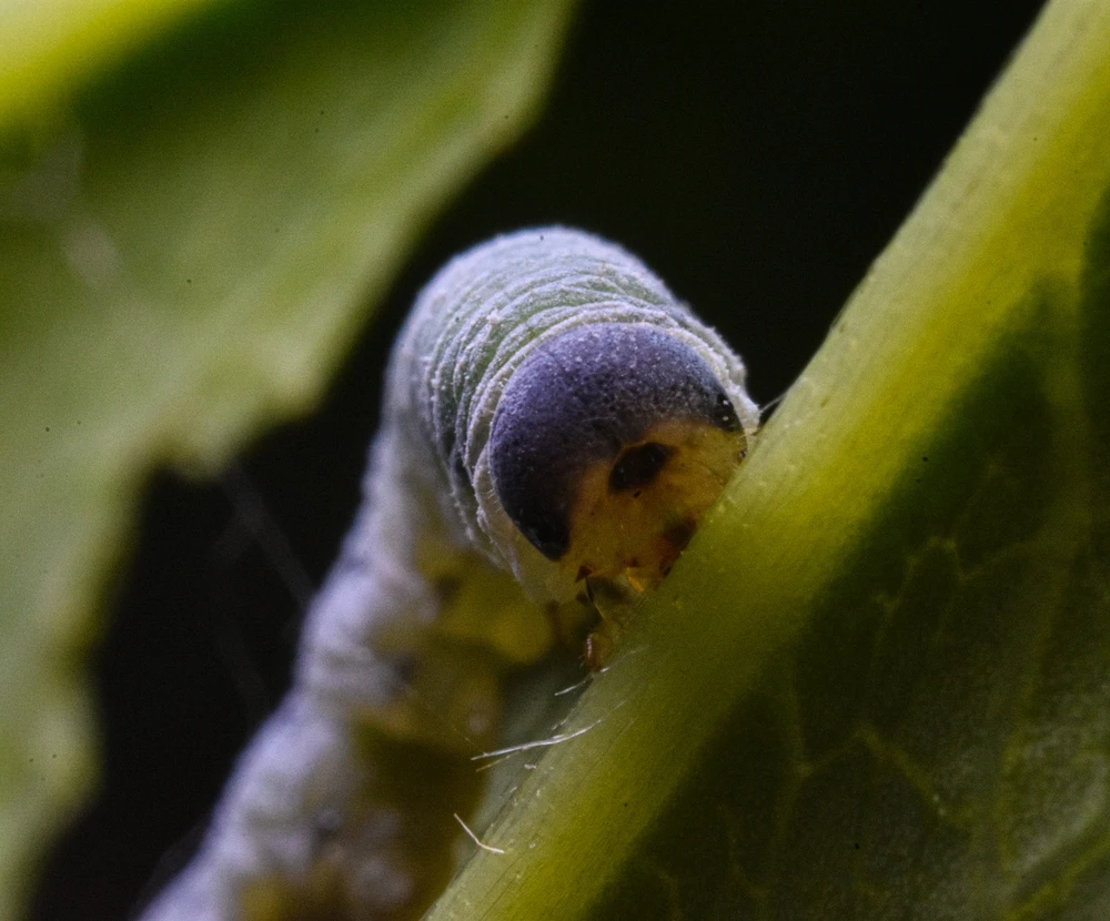 Фото загрузил Николай