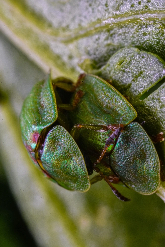 Фото загрузил Николай
