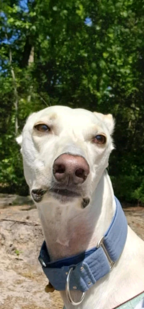 Zdjęcie dodane przez Paweł