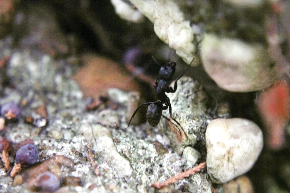 Image uploaded by Joshua Smith