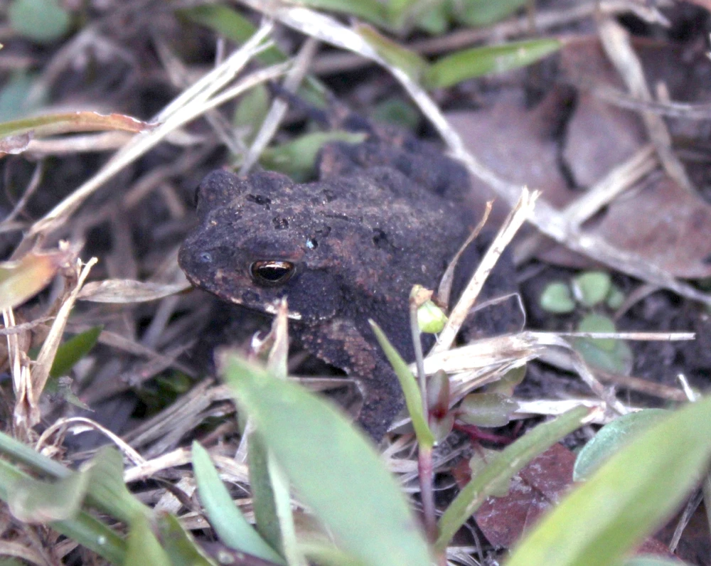 Image uploaded by Joshua Smith