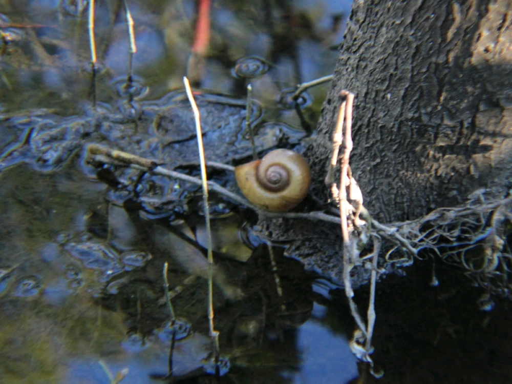 Image uploaded by Joshua Smith