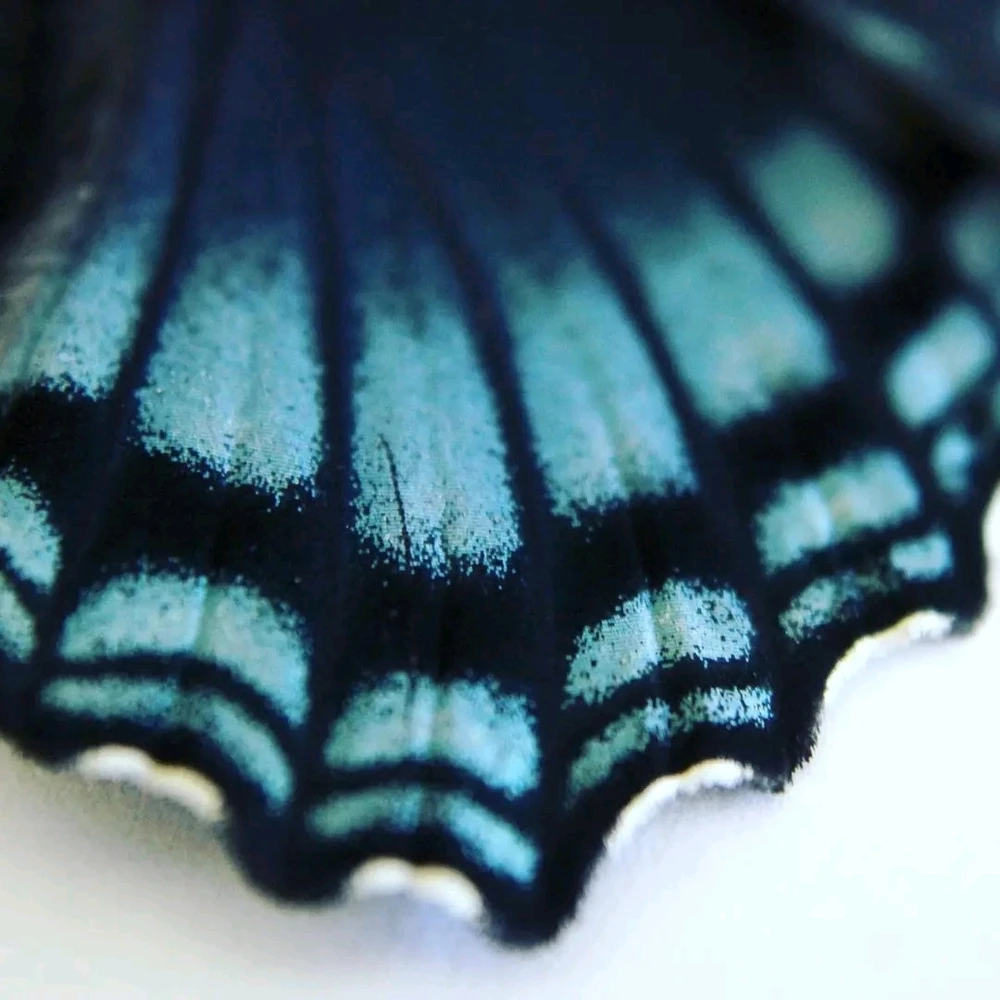 Image uploaded by Joshua Smith