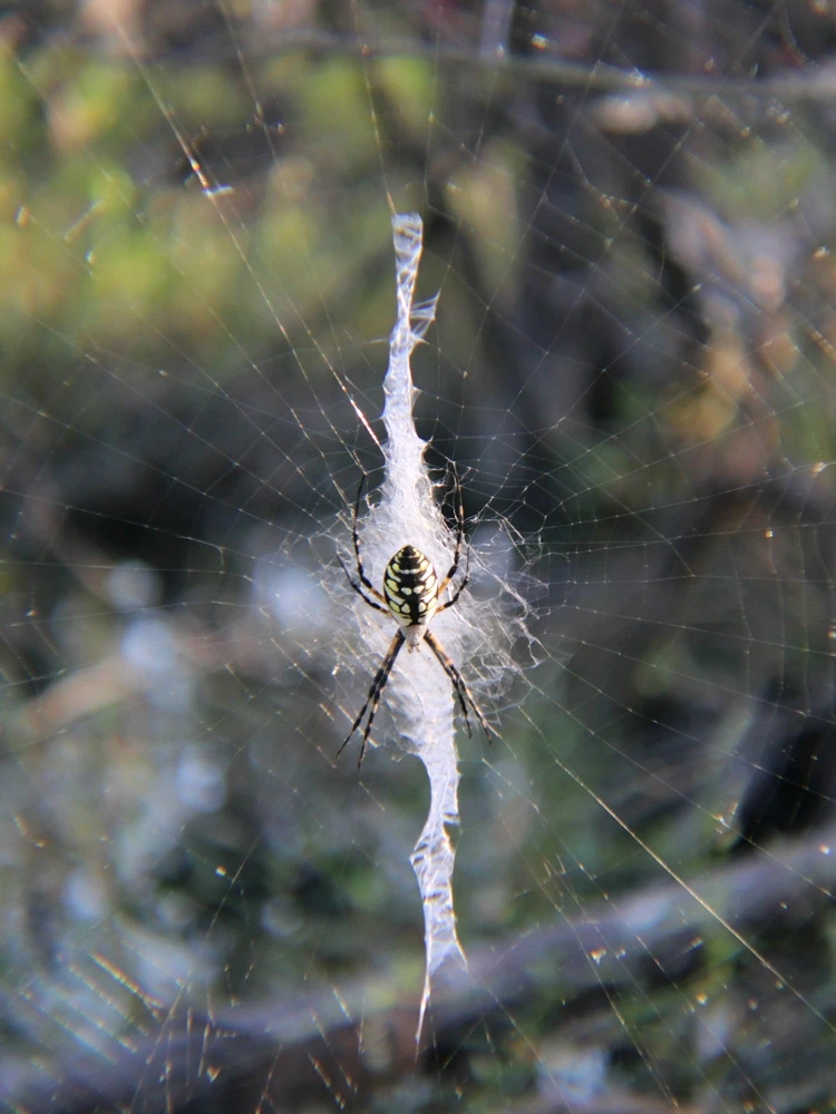 Image uploaded by Joshua Smith