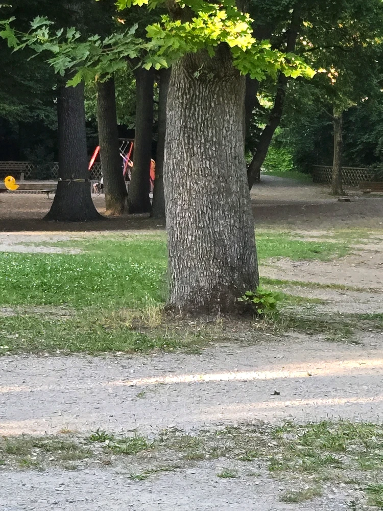 GIF hochgeladen von Hildegard 🦆