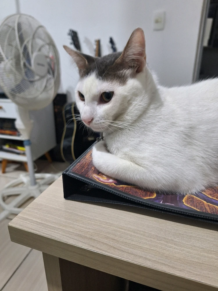 GIF enviado por Pedro