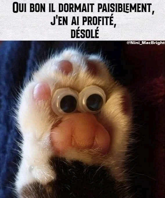 GIF ajouté par Ꭻລԁ𝙚