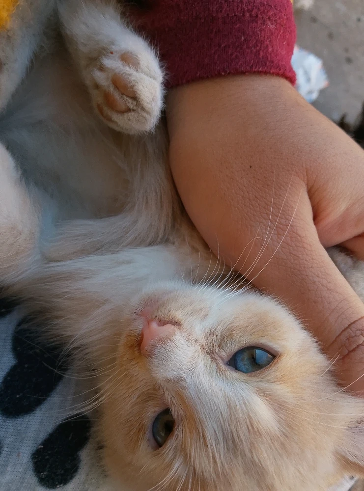 GIF subido por Vane 🩷