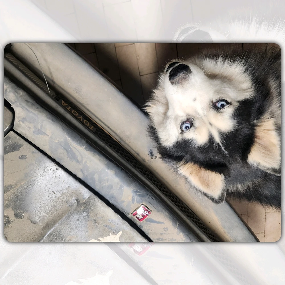 Image uploaded by Rae