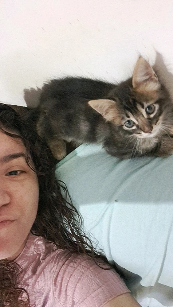 Imagem enviada por Ana