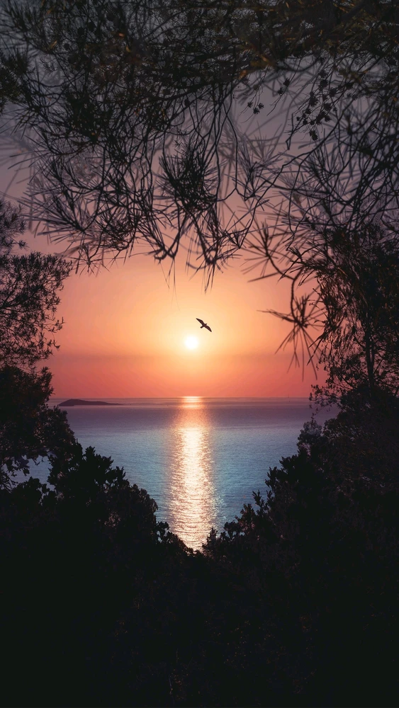 GIF uploaded by Liza