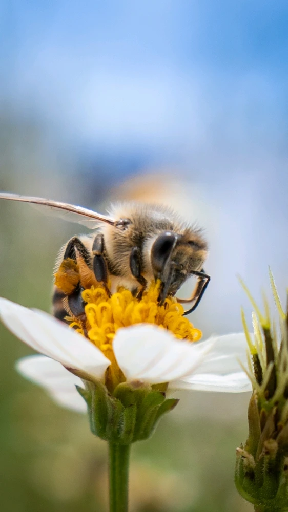 Sony a6400, Yongnuo 11mm F1.8