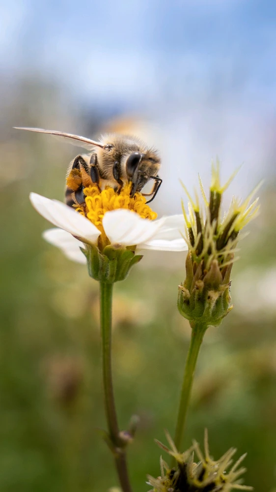 Sony a6400, Yongnuo 11mm F1.8