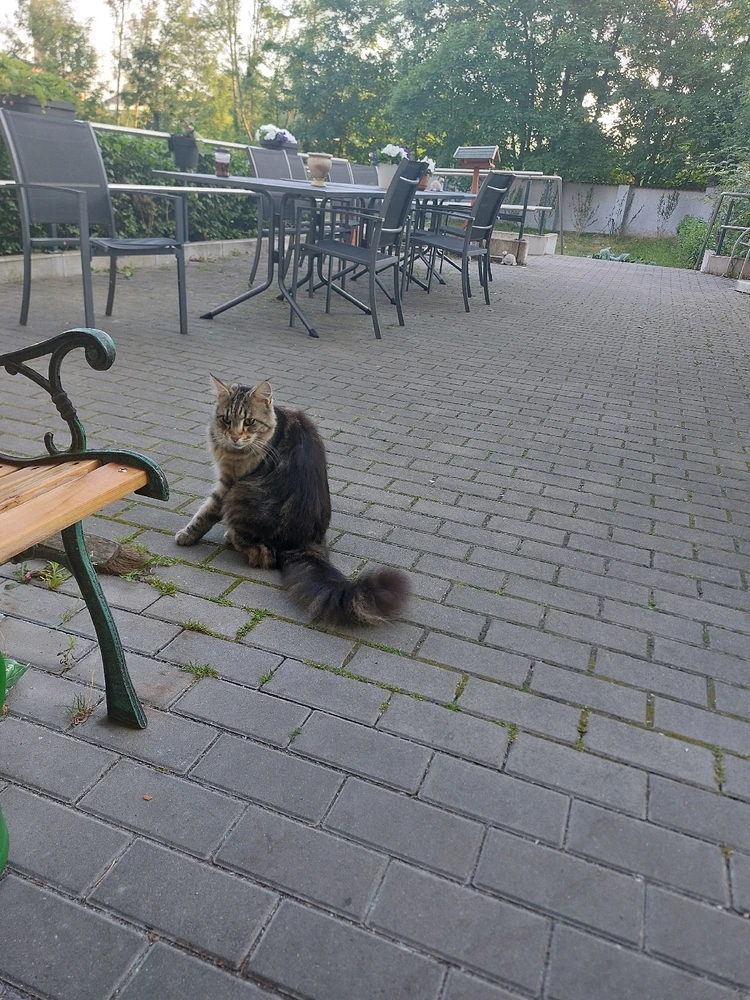 GIF hochgeladen von Alexander