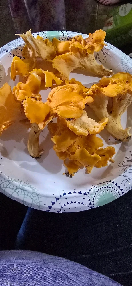 GIF uploaded by Tiera