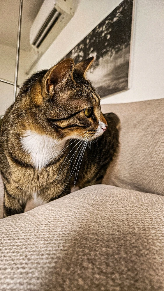 GIF uploaded by Yuri