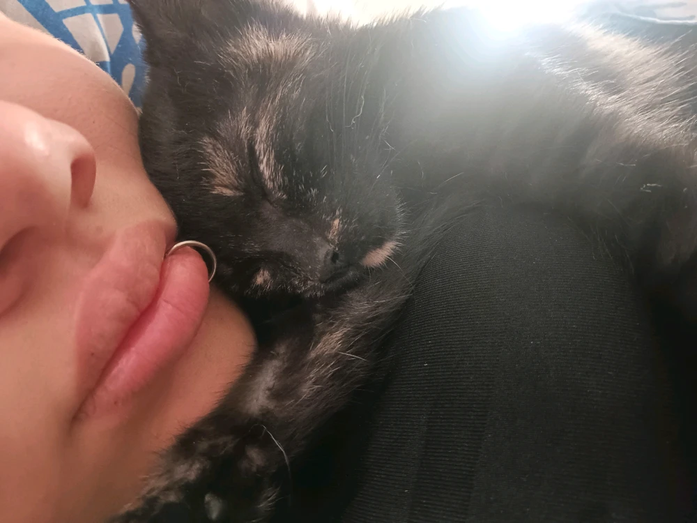 GIF subido por Christian