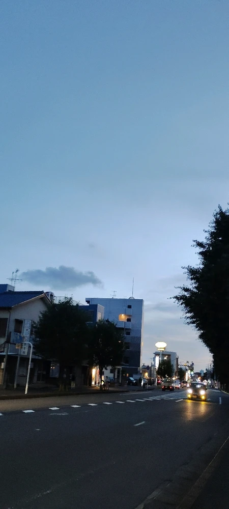 夏至の夜　Summer Solstice Night