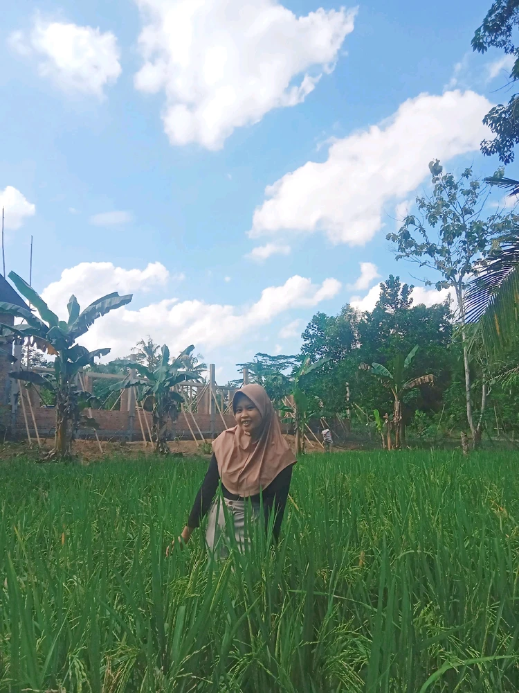 Gambar diunggah oleh Tri Ningsih