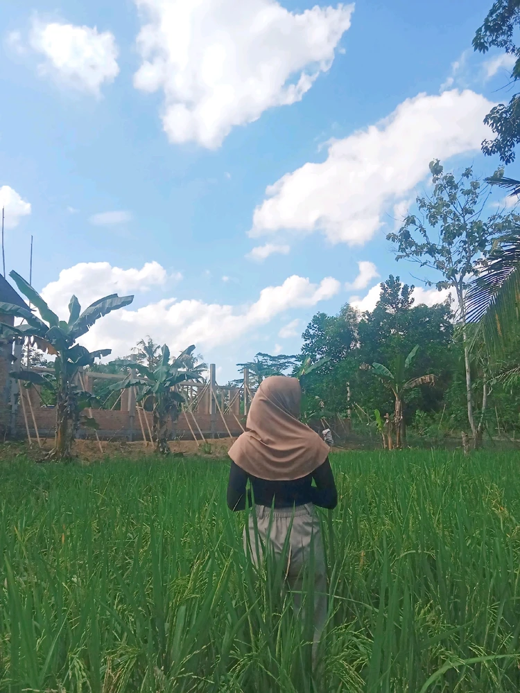 Gambar diunggah oleh Tri Ningsih