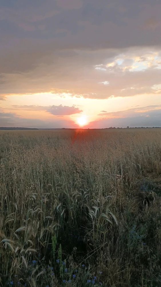 GIF încărcat de Francisc