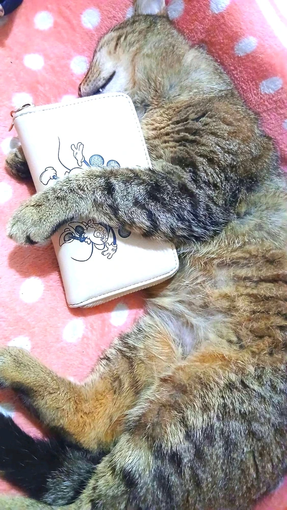 GIF otpremio/la Darko