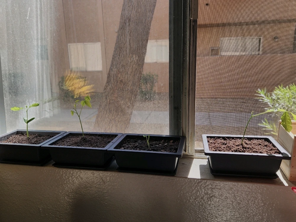 GIF diunggah dening Cj