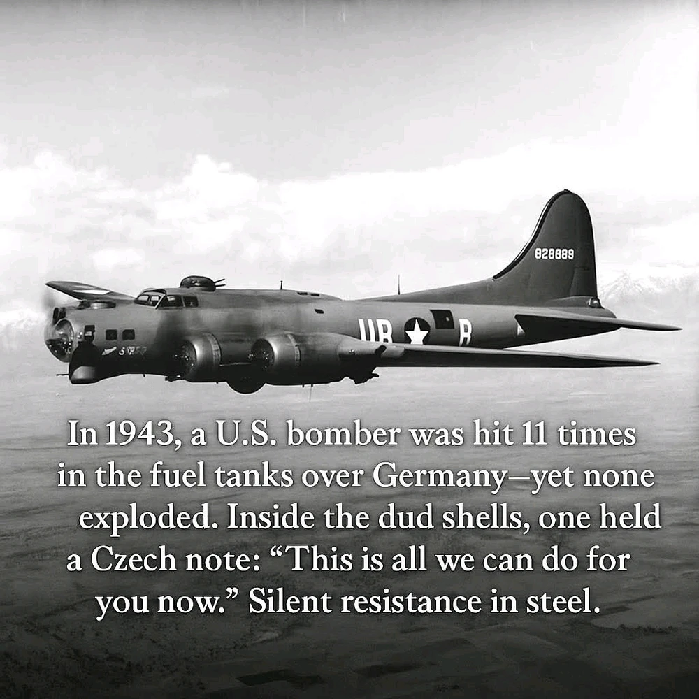 GIF diunggah dening W