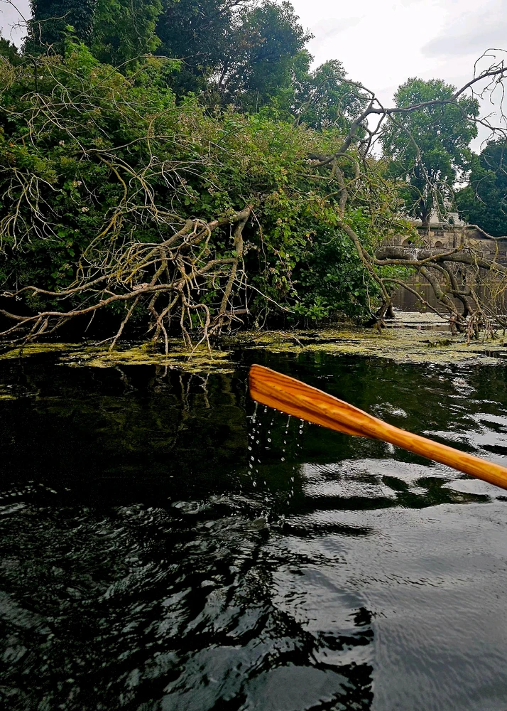 Gambar diunggah dening Charlotte/Charlie