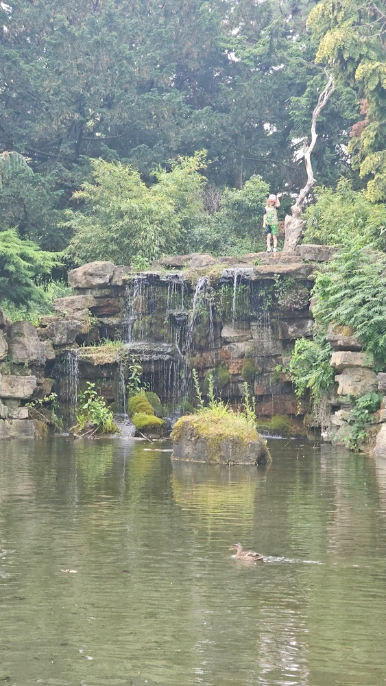 Gambar diunggah dening Charlotte/Charlie