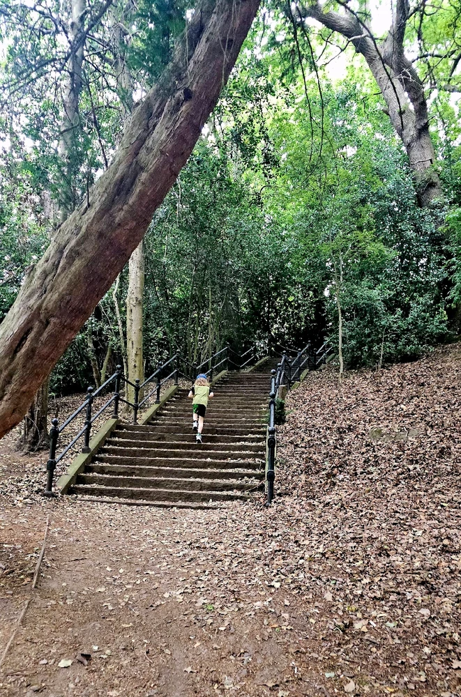 Gambar diunggah dening Charlotte/Charlie