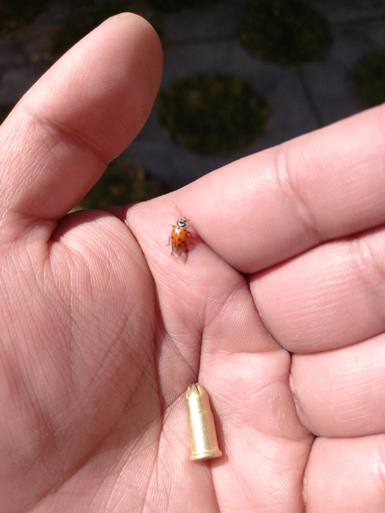 Imagen subida por Alexander