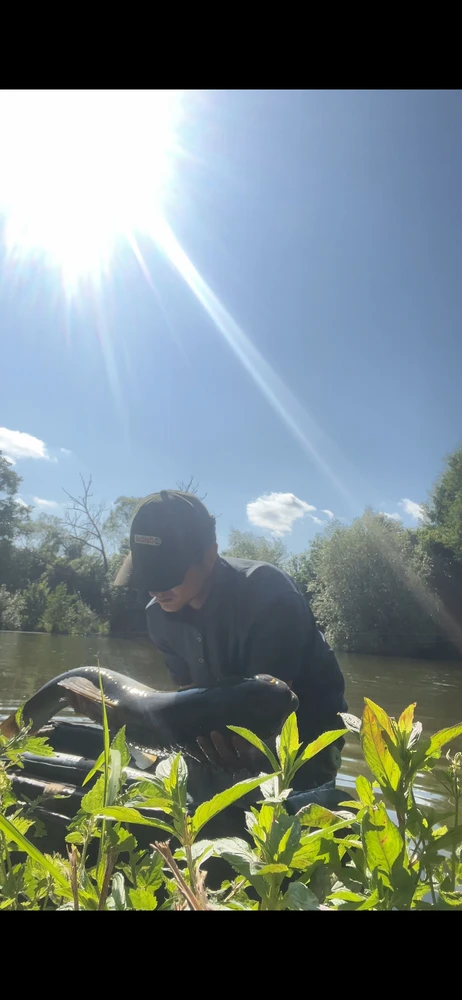 Obrázek nahrál Daniel