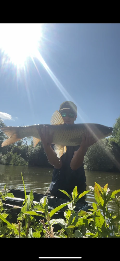 Obrázek nahrál Daniel