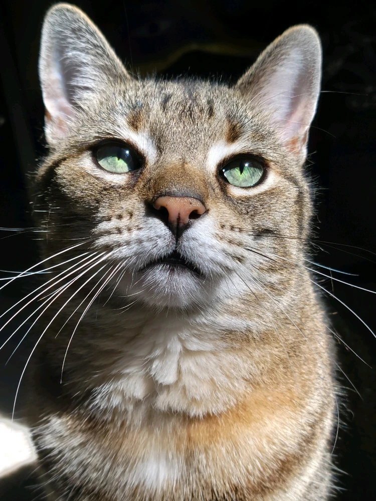 GIF uploaded by Autumn