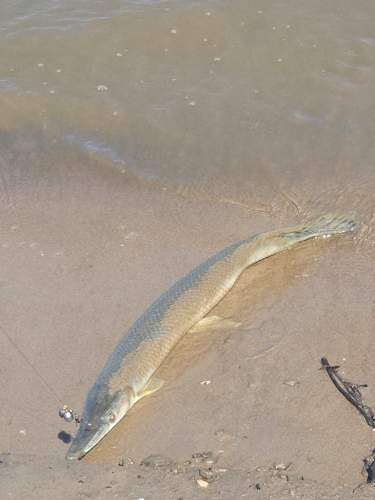 Gambar diunggah dening Reggie