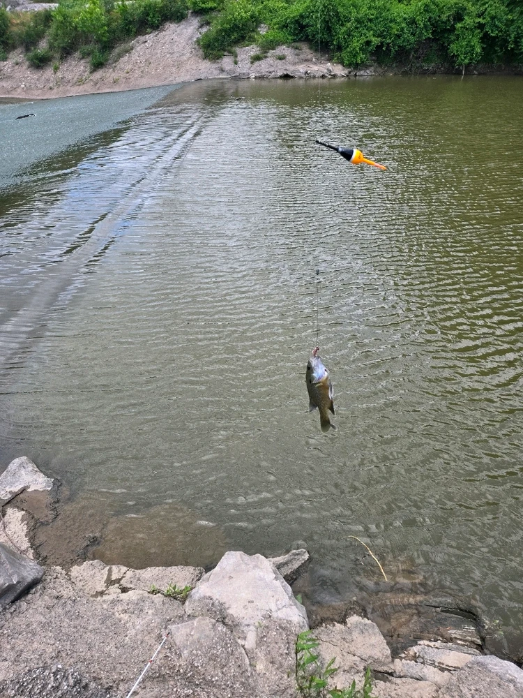 Gambar diunggah dening Reggie